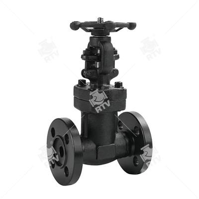 API 602 Bellows Sealed Globe Valve