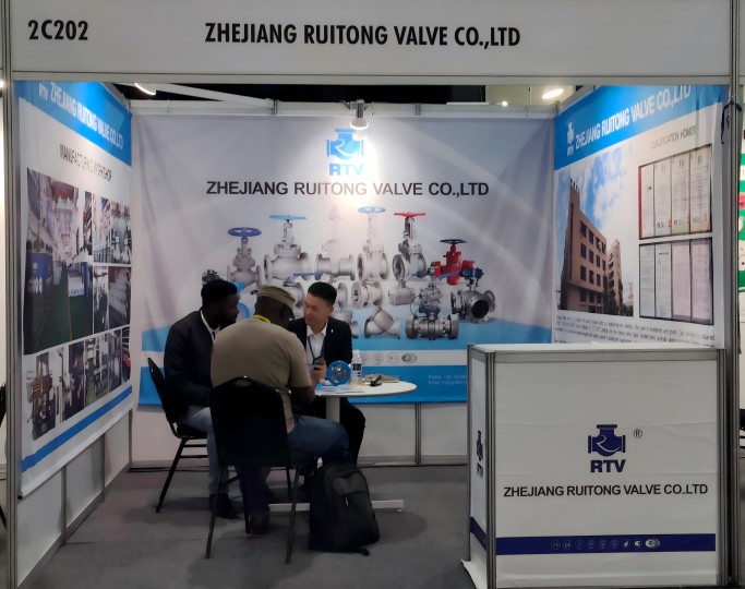 Выставка в Йоханнесбурге в Южной Африке